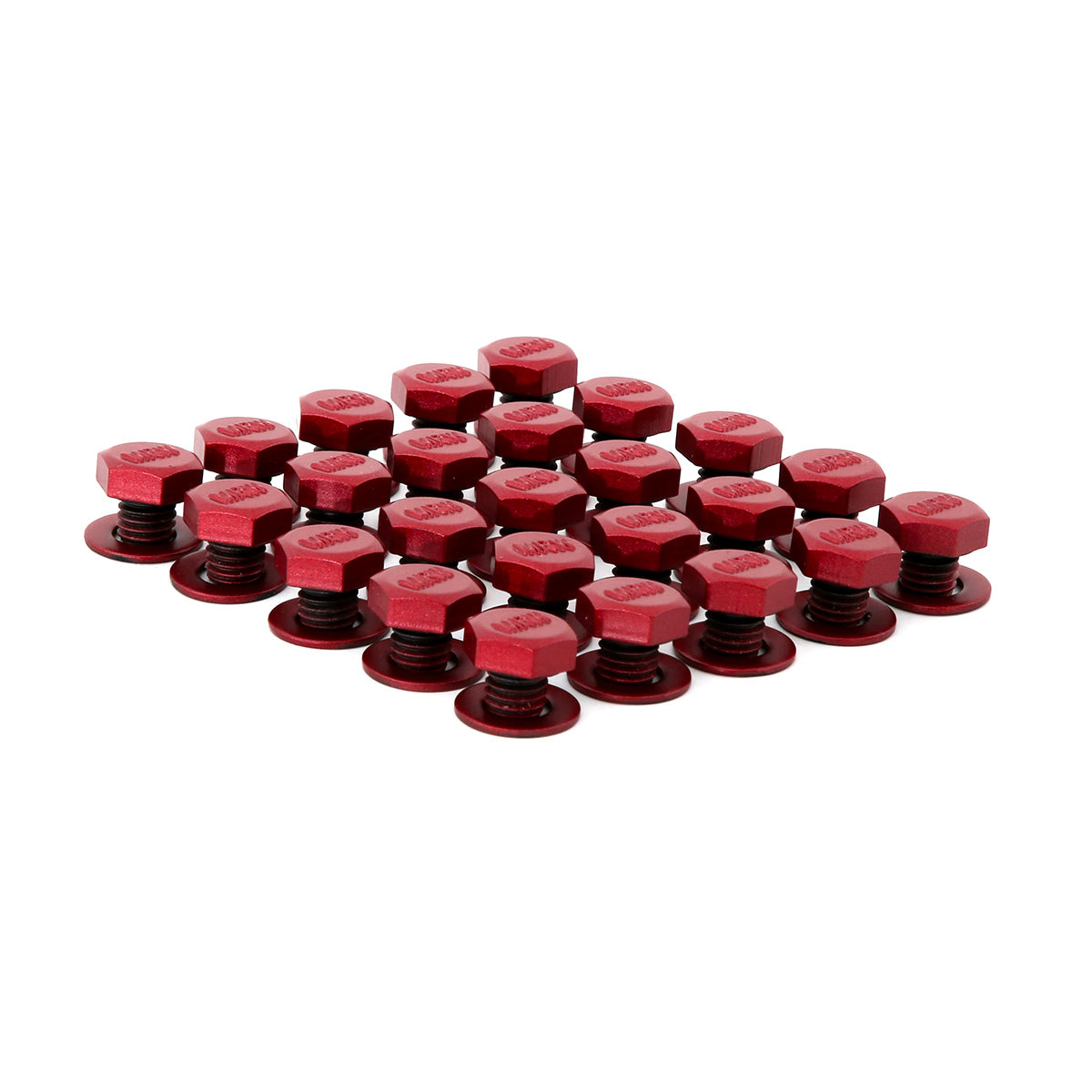 Lip Bolt Kit